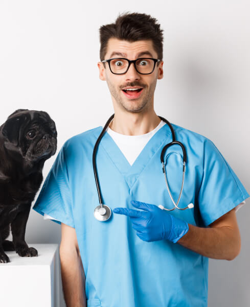 تانیا پوریان