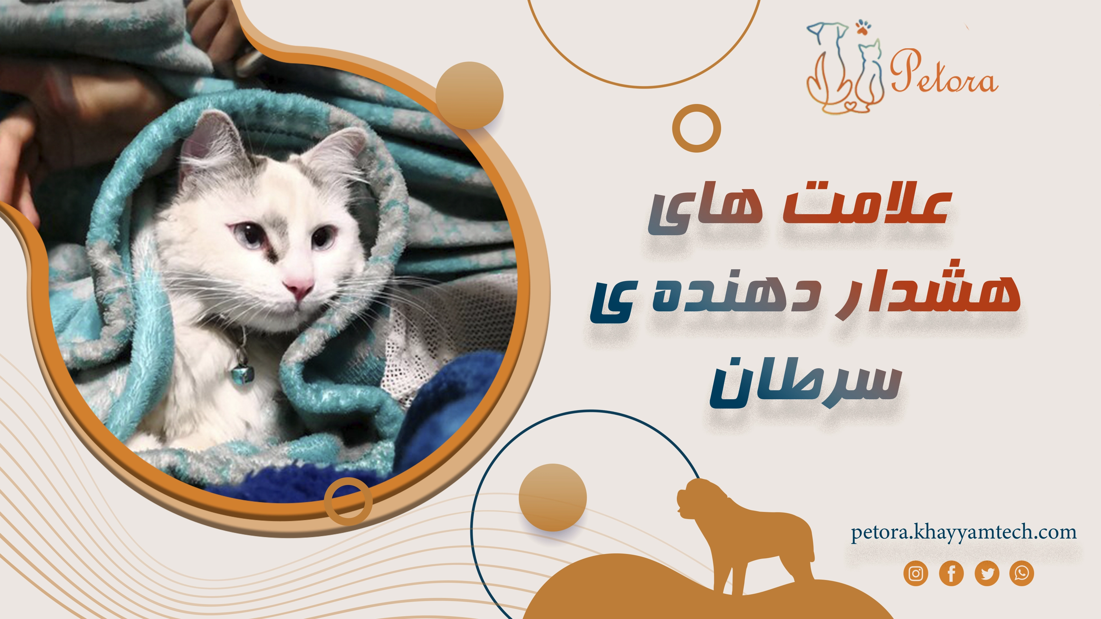 ۷ علامت هشداردهنده سرطان در حیوانات خانگی