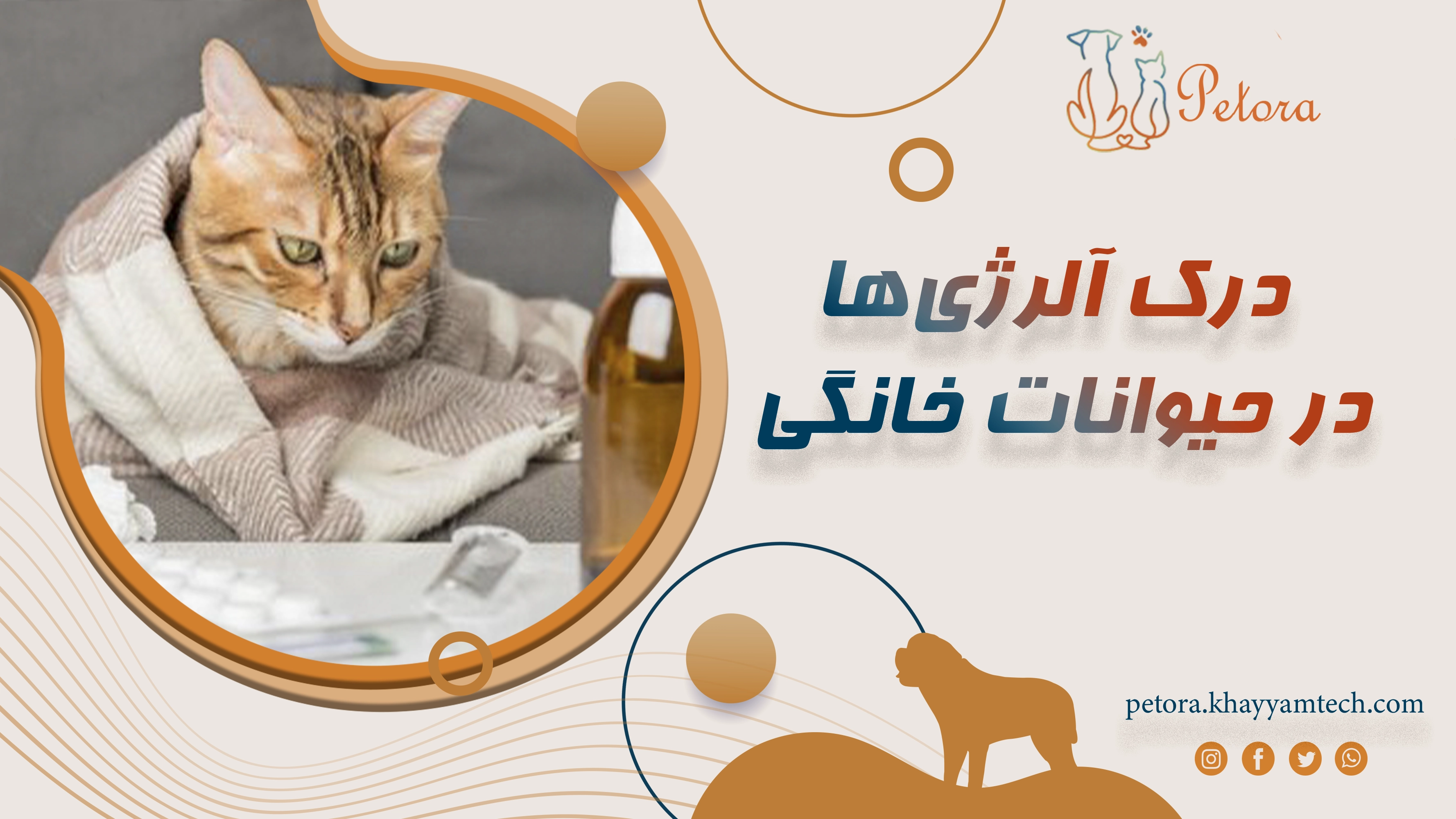 درک آلرژی‌ها در حیوانات خانگی