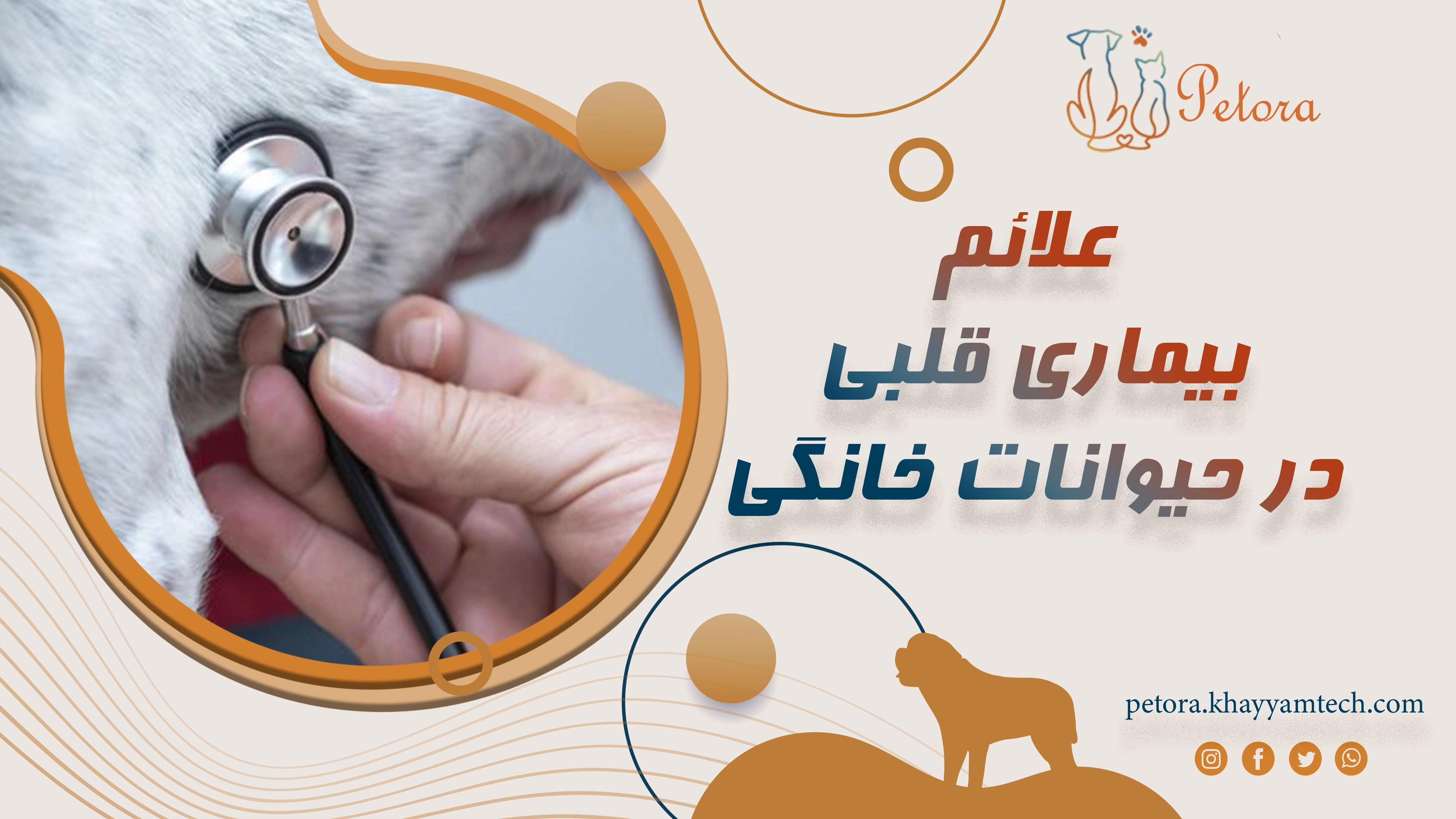 علائم هشداردهنده بیماری قلبی در حیوانات خانگی