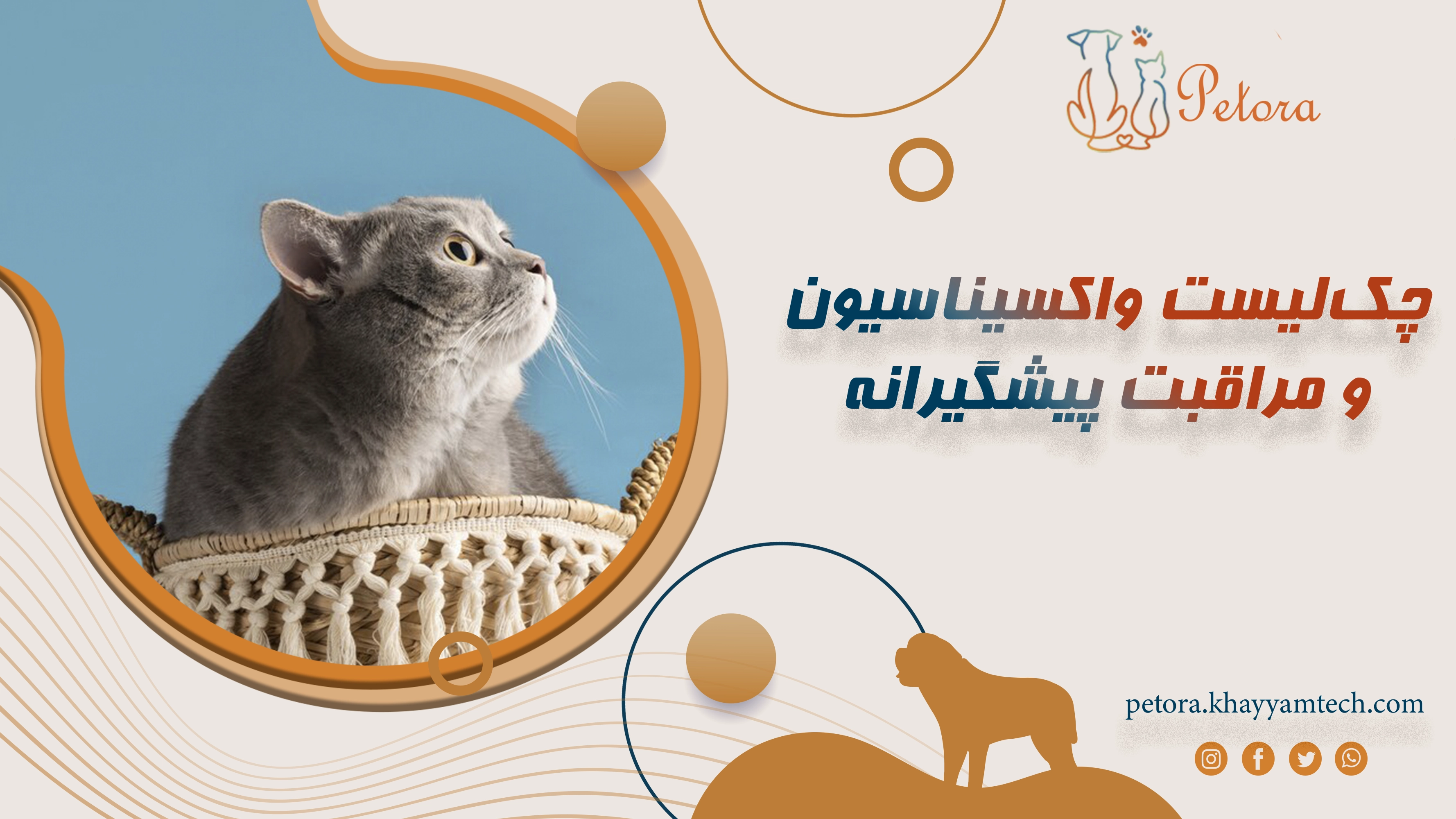 چک‌لیست واکسیناسیون و مراقبت پیشگیرانه برای سگ و گربه