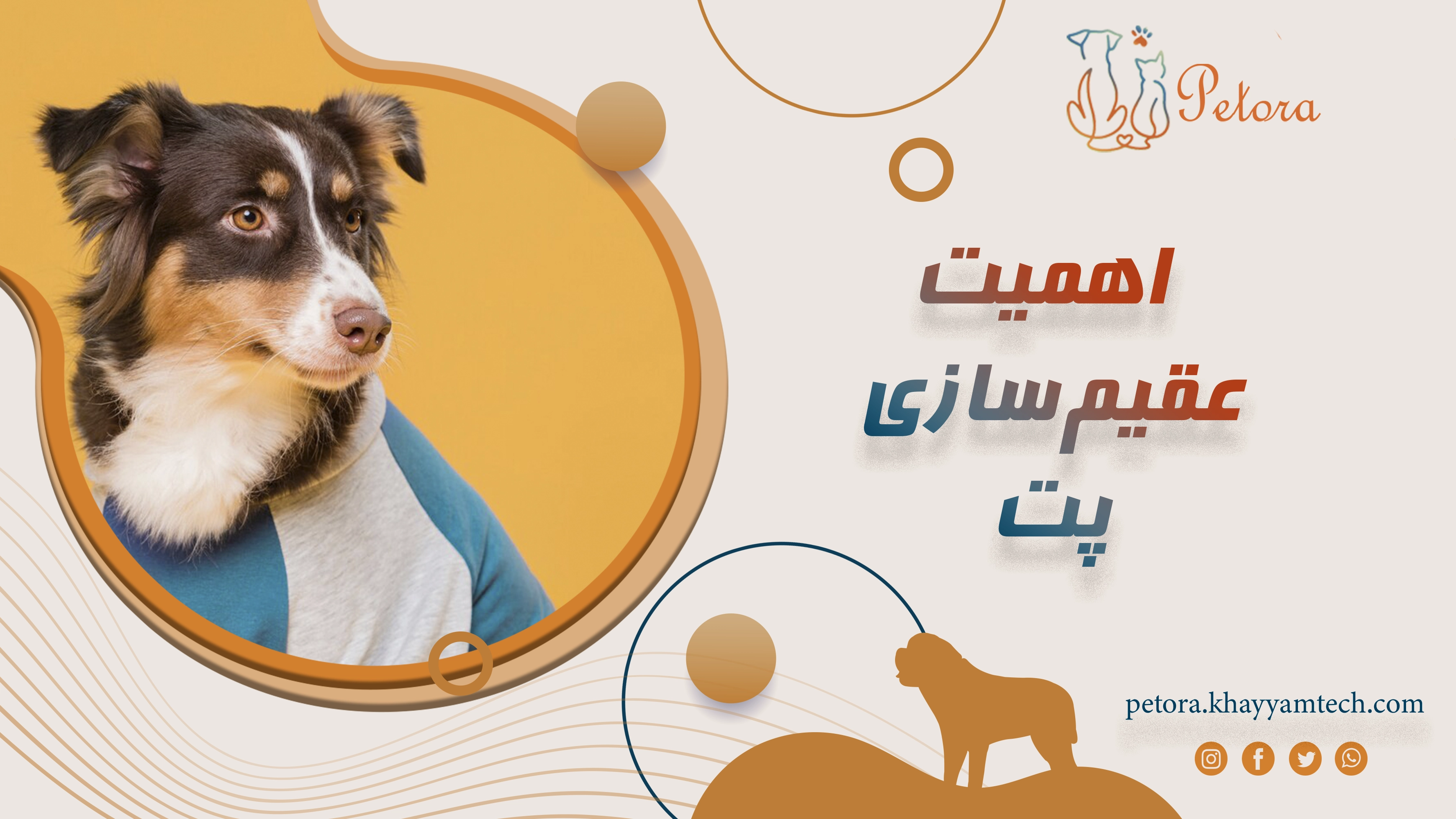 اهمیت عقیم‌سازی پت: مزایا، نگرانی‌ها و زمان مناسب
