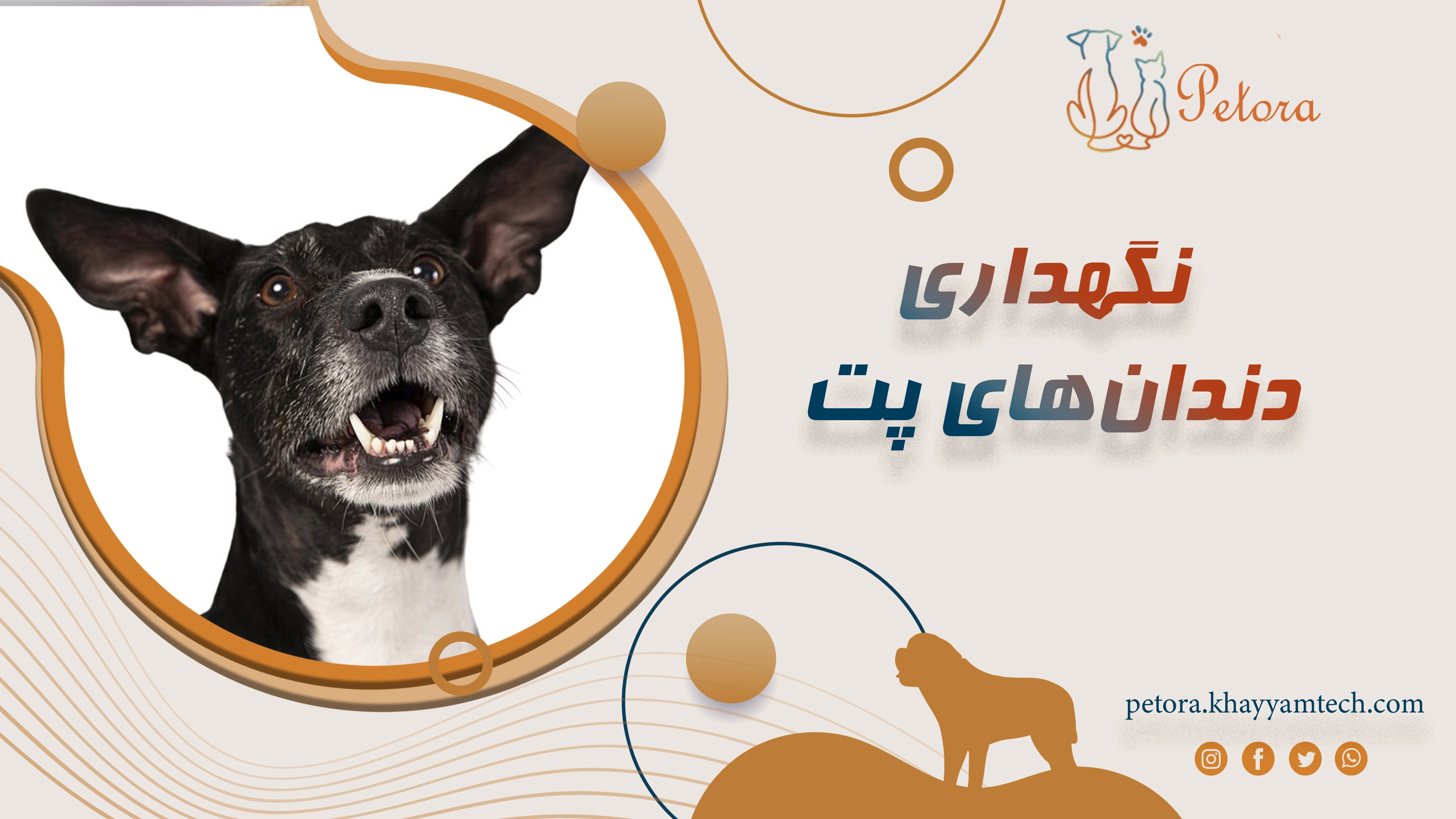 نگهداری دندان‌های پت؛ راهنمای جامع برای صاحبان سگ و گربه
