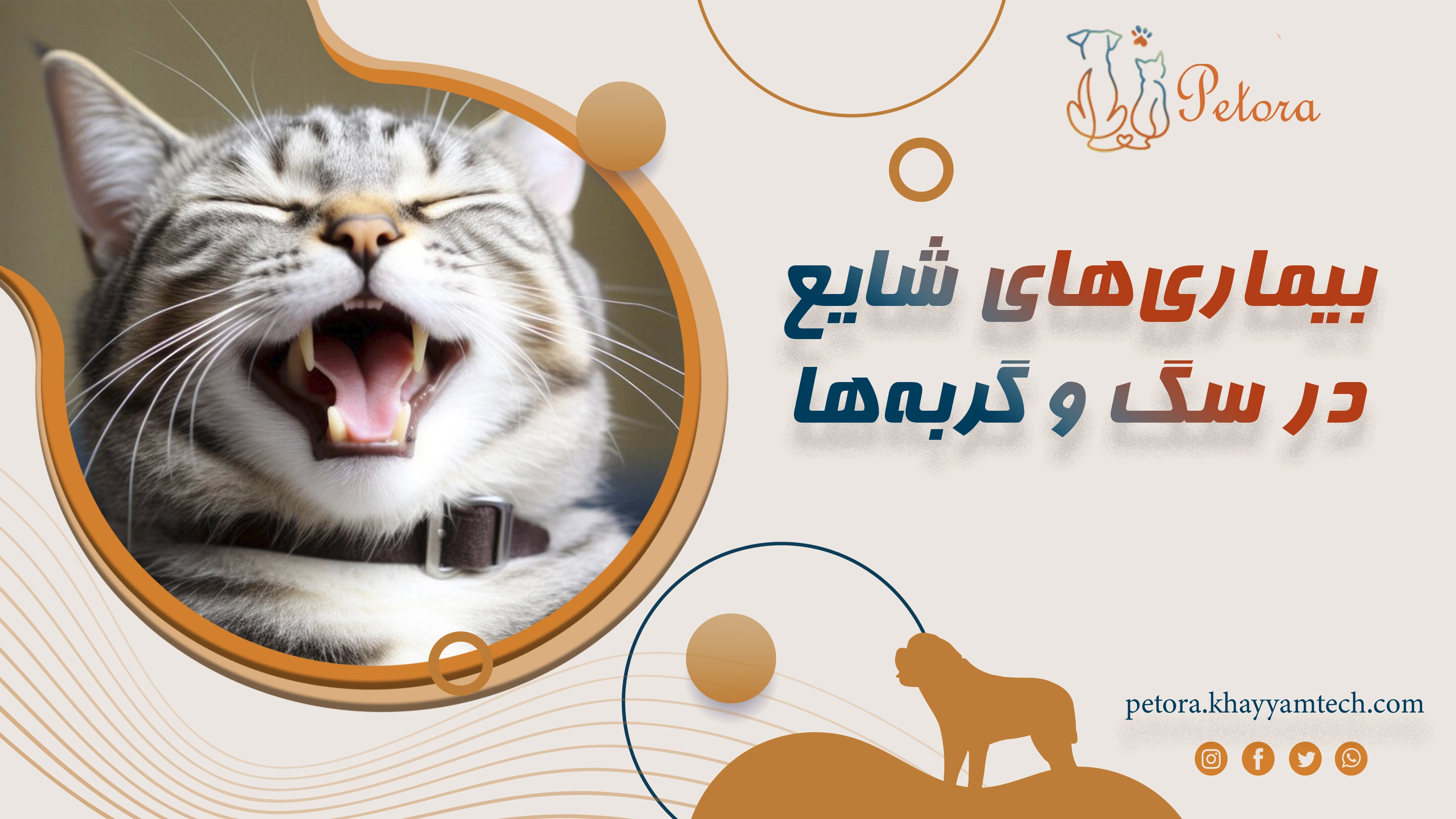 بیماری‌های شایع در سگ و گربه‌ها در ایران: روندها، پیشگیری، درمان