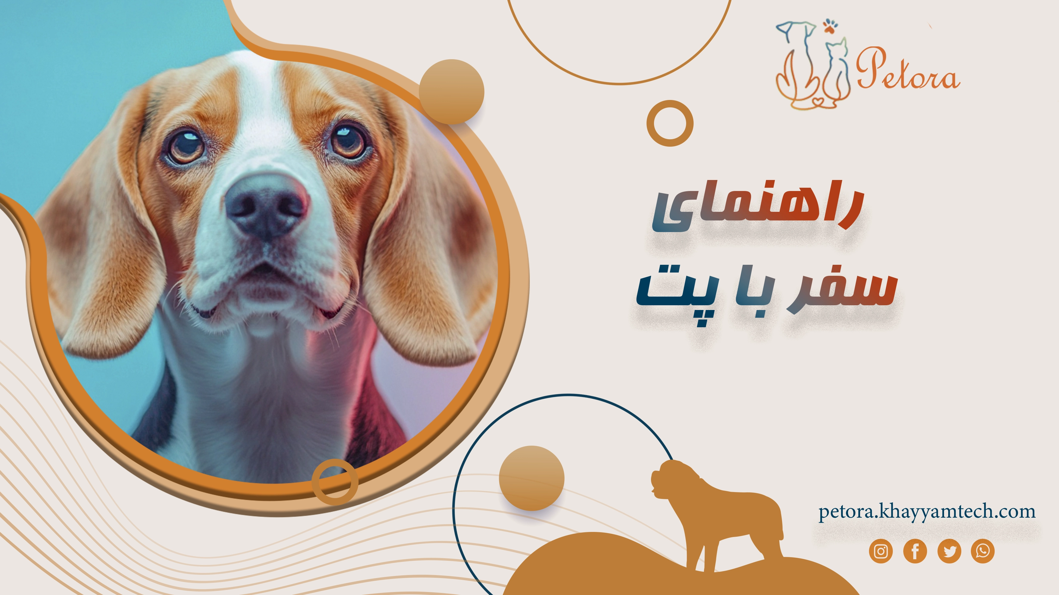 راهنمای سفر با پت: چک‌لیست سلامت و وسایل لازم