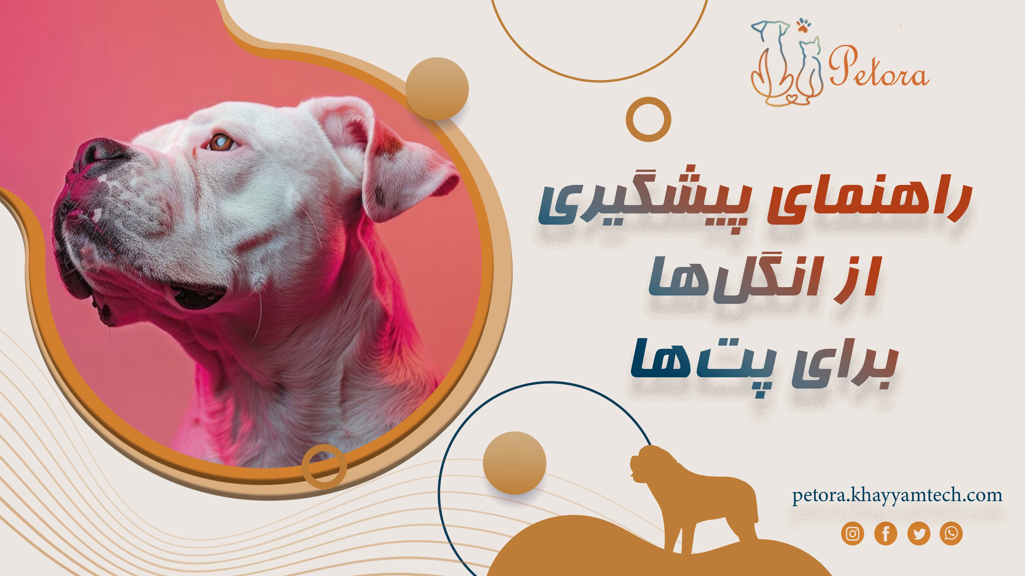 راهنمای پیشگیری از انگل‌ها برای پت‌ها