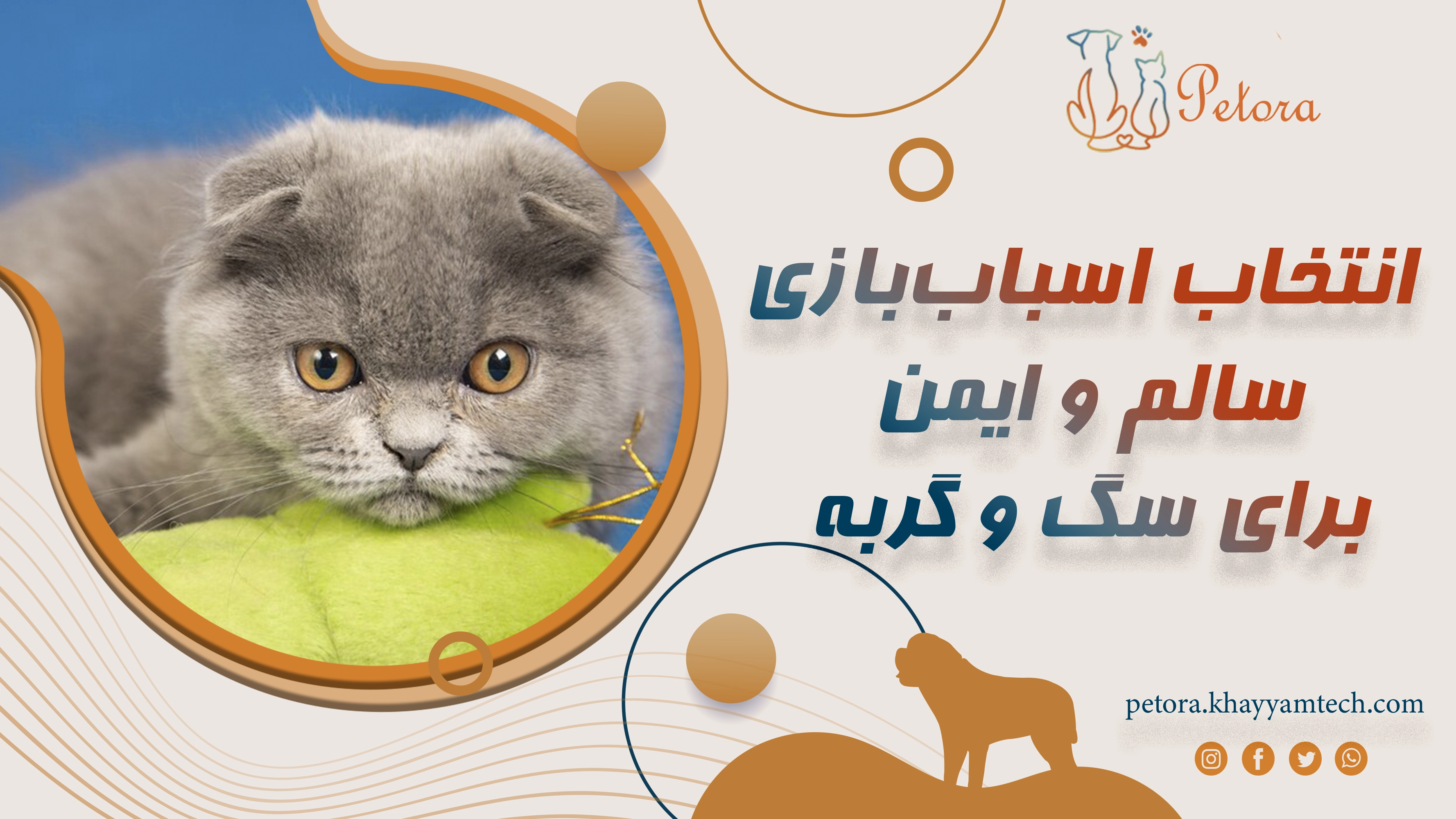 انتخاب اسباب‌بازی سالم و ایمن برای سگ و گربه