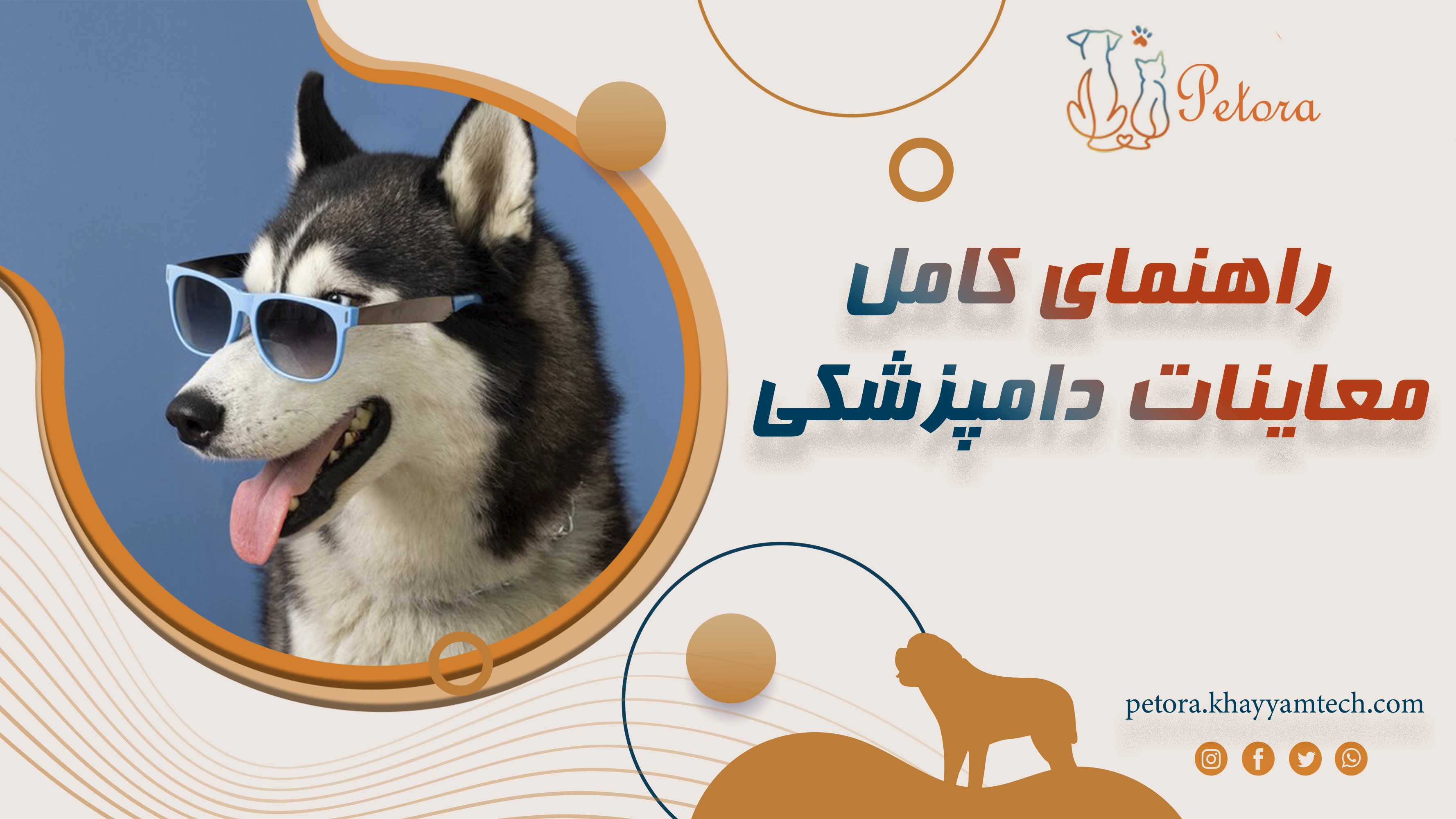 راهنمای کامل معاینات دامپزشکی سالانه برای پت‌ها