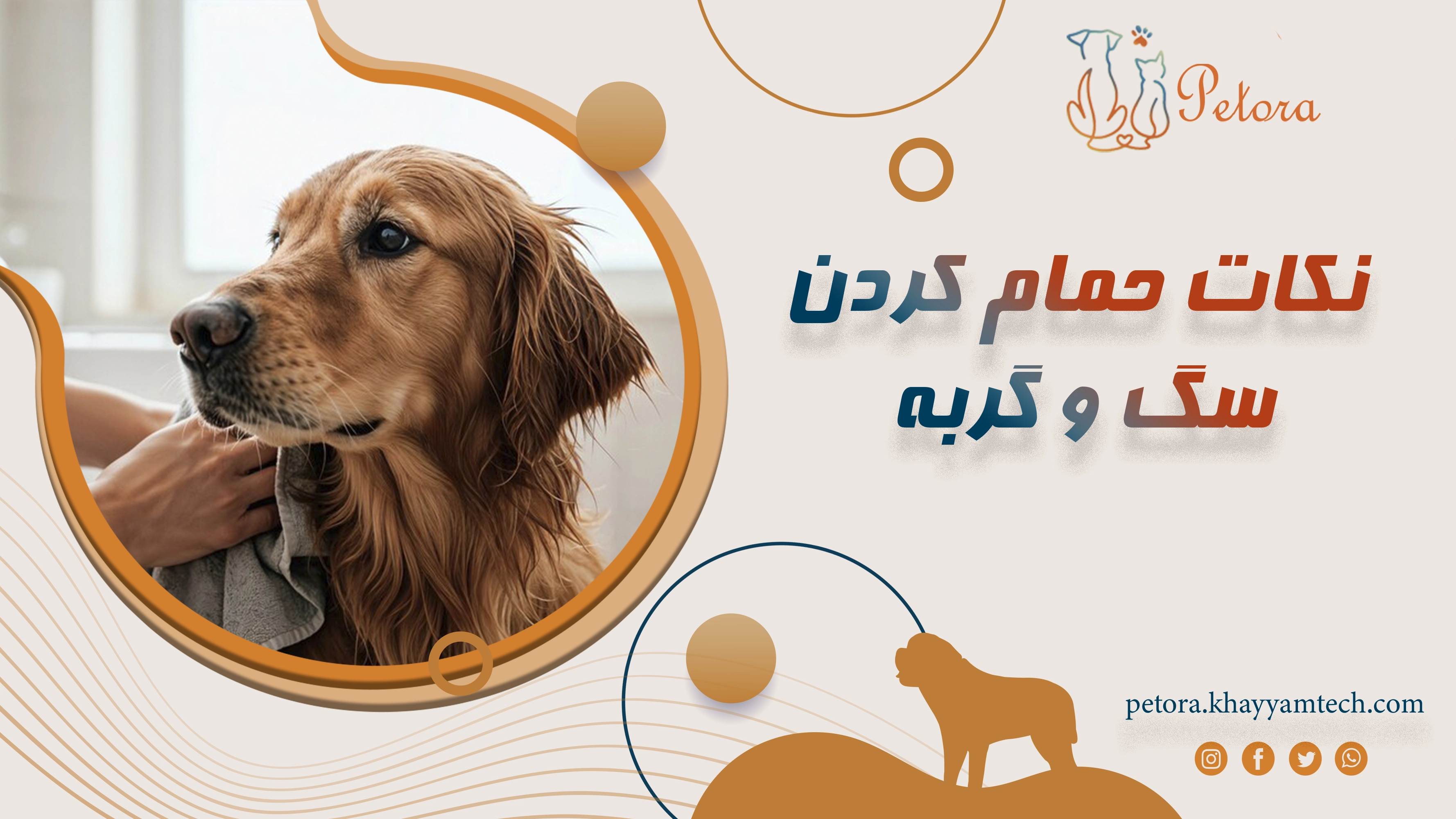 نکات حمام کردن سگ و گربه: چگونه پت خود را حمام کنیم؟