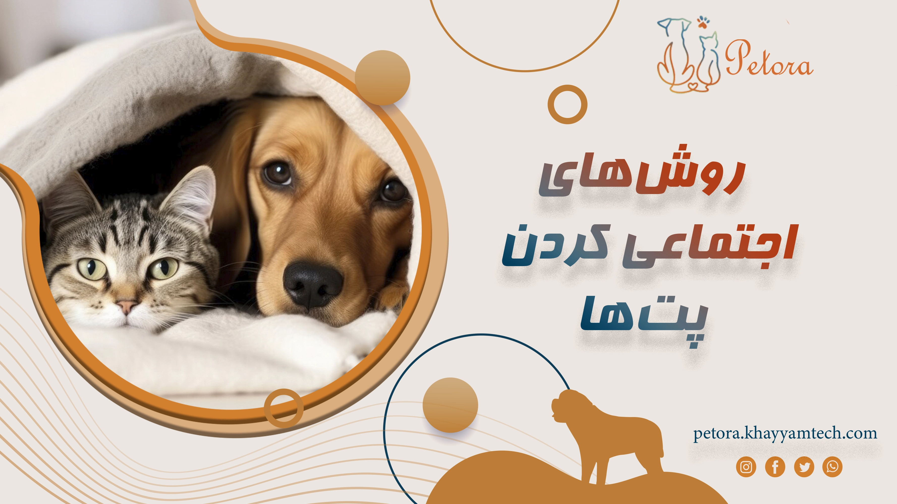 روش‌های اجتماعی کردن پت‌ها و جلوگیری از اضطراب جدایی