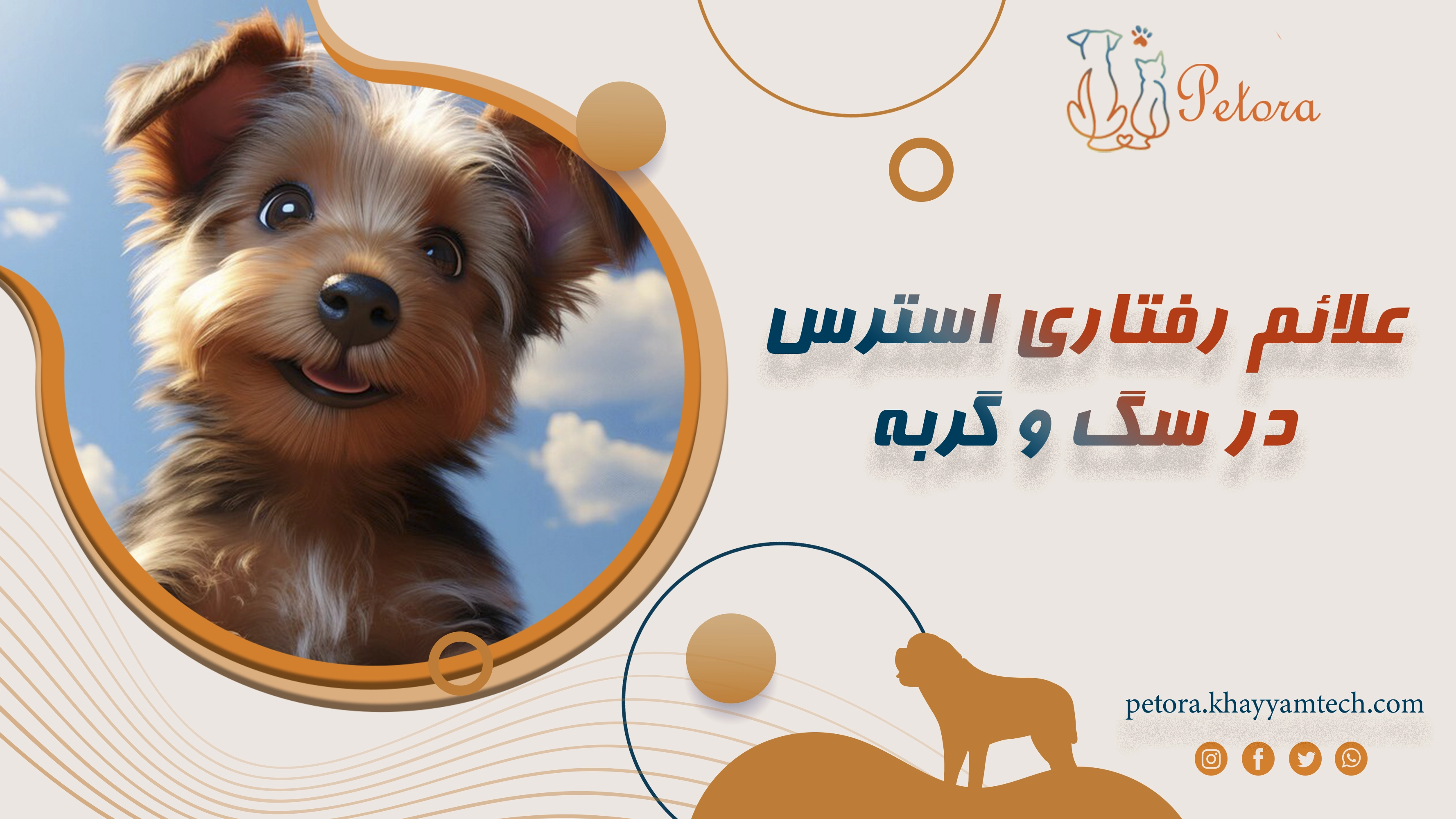 علائم رفتاری استرس در سگ و گربه و روش‌های کاهش آن