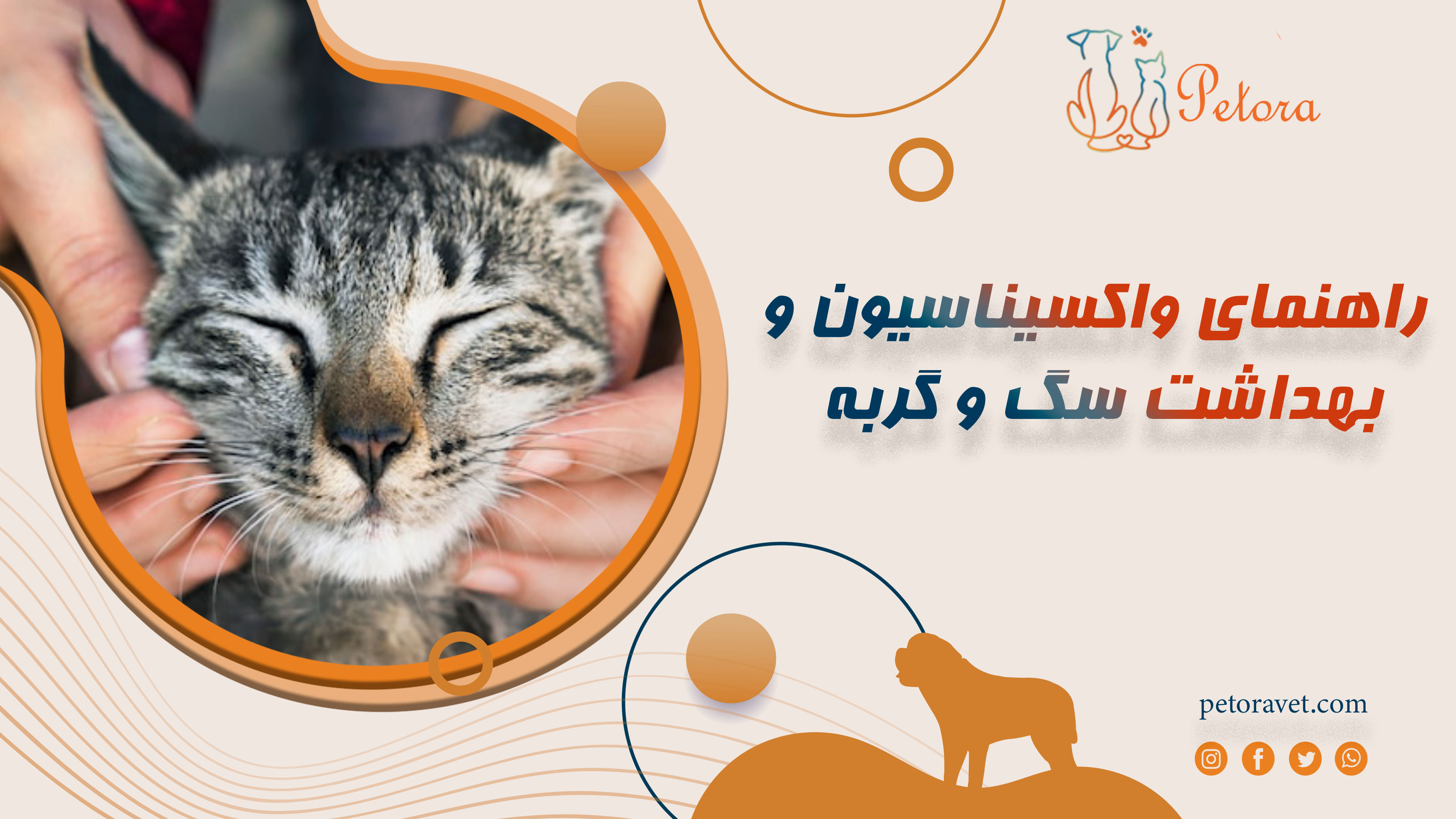 راهنمای واکسیناسیون و بهداشت سگ و گربه: چه واکسنی، چه زمانی