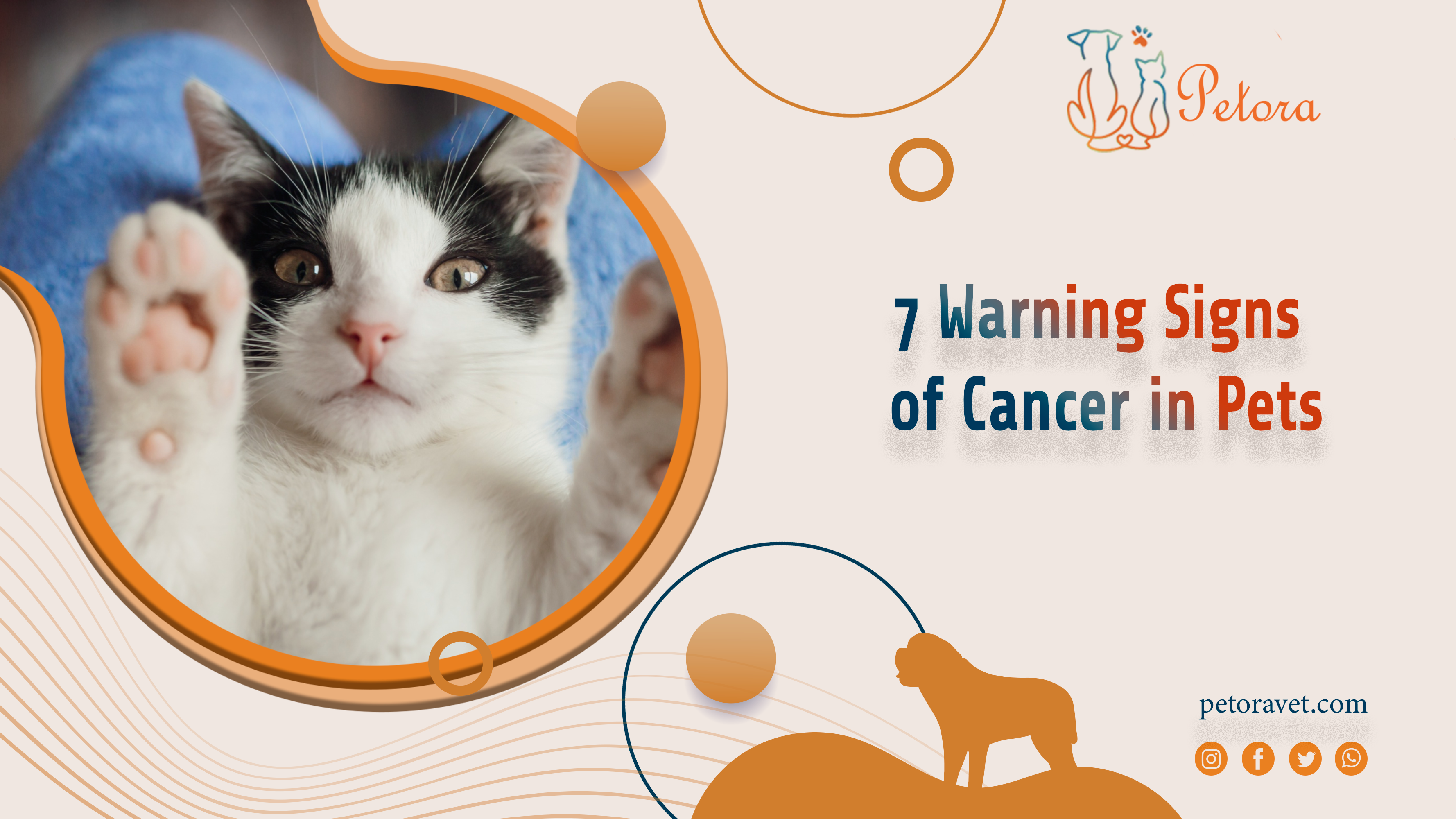 7 Warning Signs of Cancer in Pets