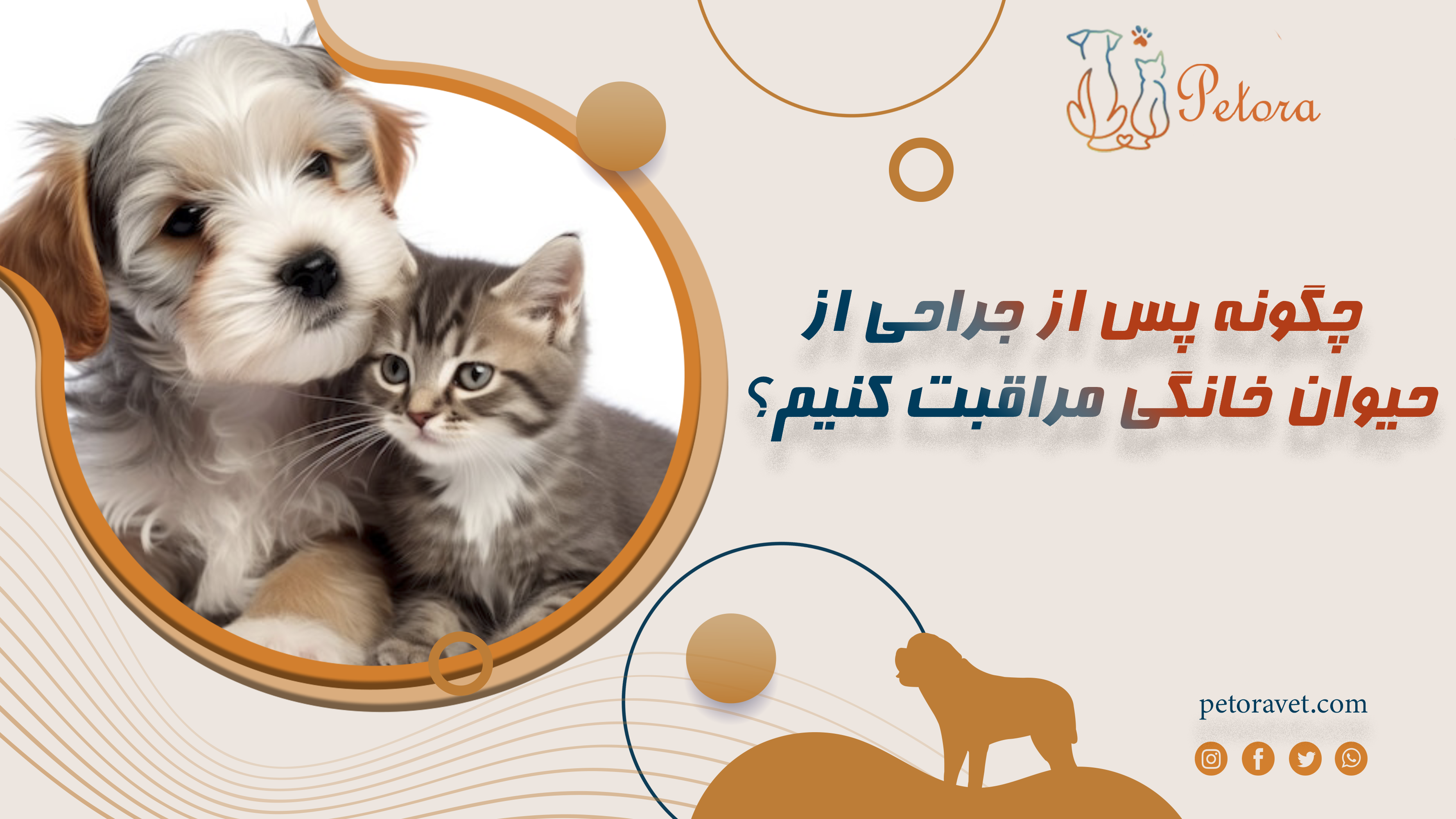 چگونه پس از جراحی از حیوان خانگی مراقبت کنیم؟ راهنمای بعد از عمل برای سگ و گربه