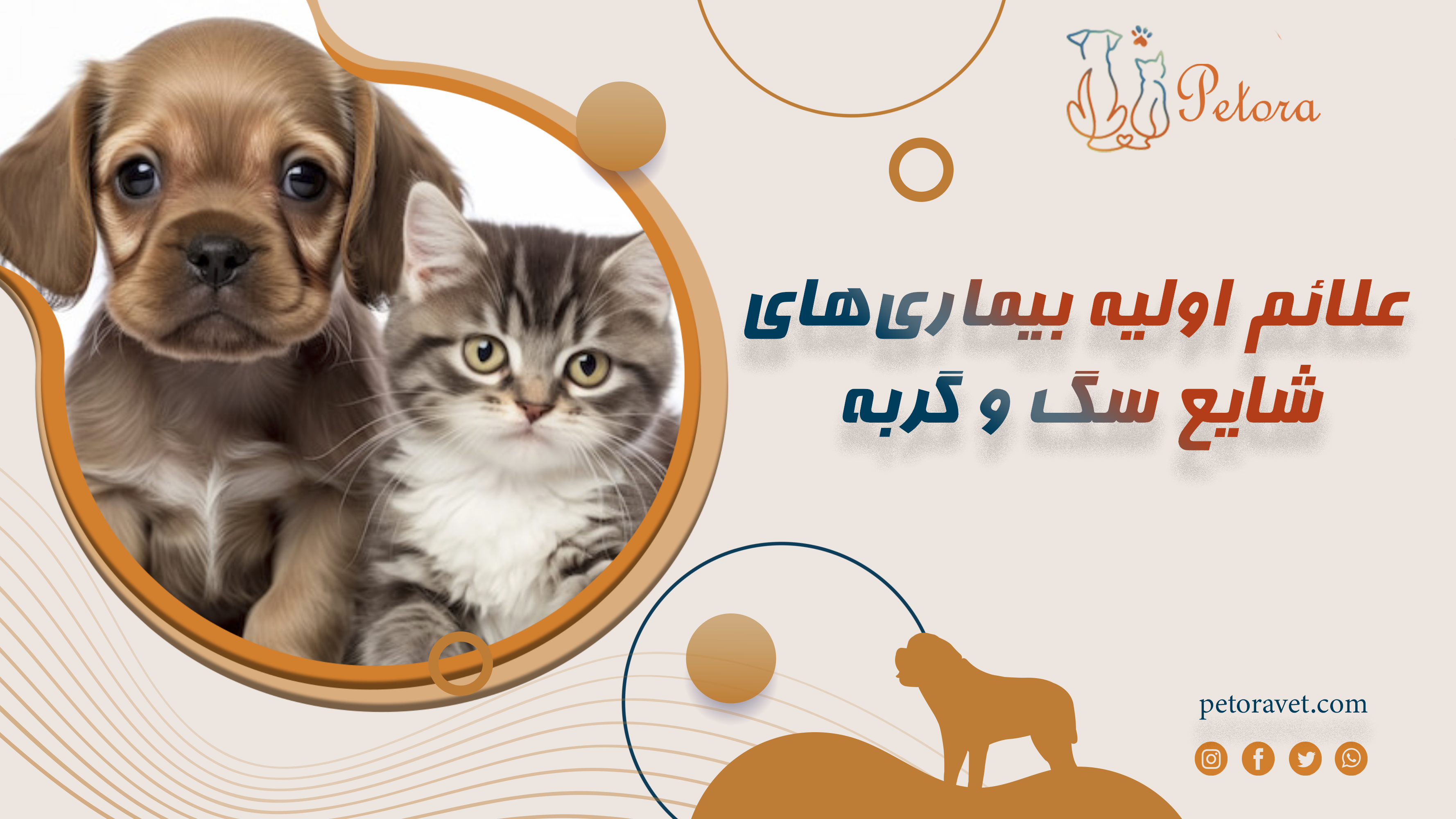 علائم اولیه بیماری‌های شایع سگ و گربه